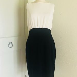 Ann Taylor LOFT Dress